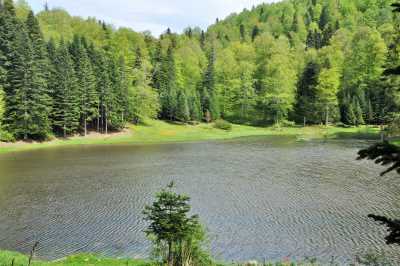 Torkul Göleti ve Yaylası